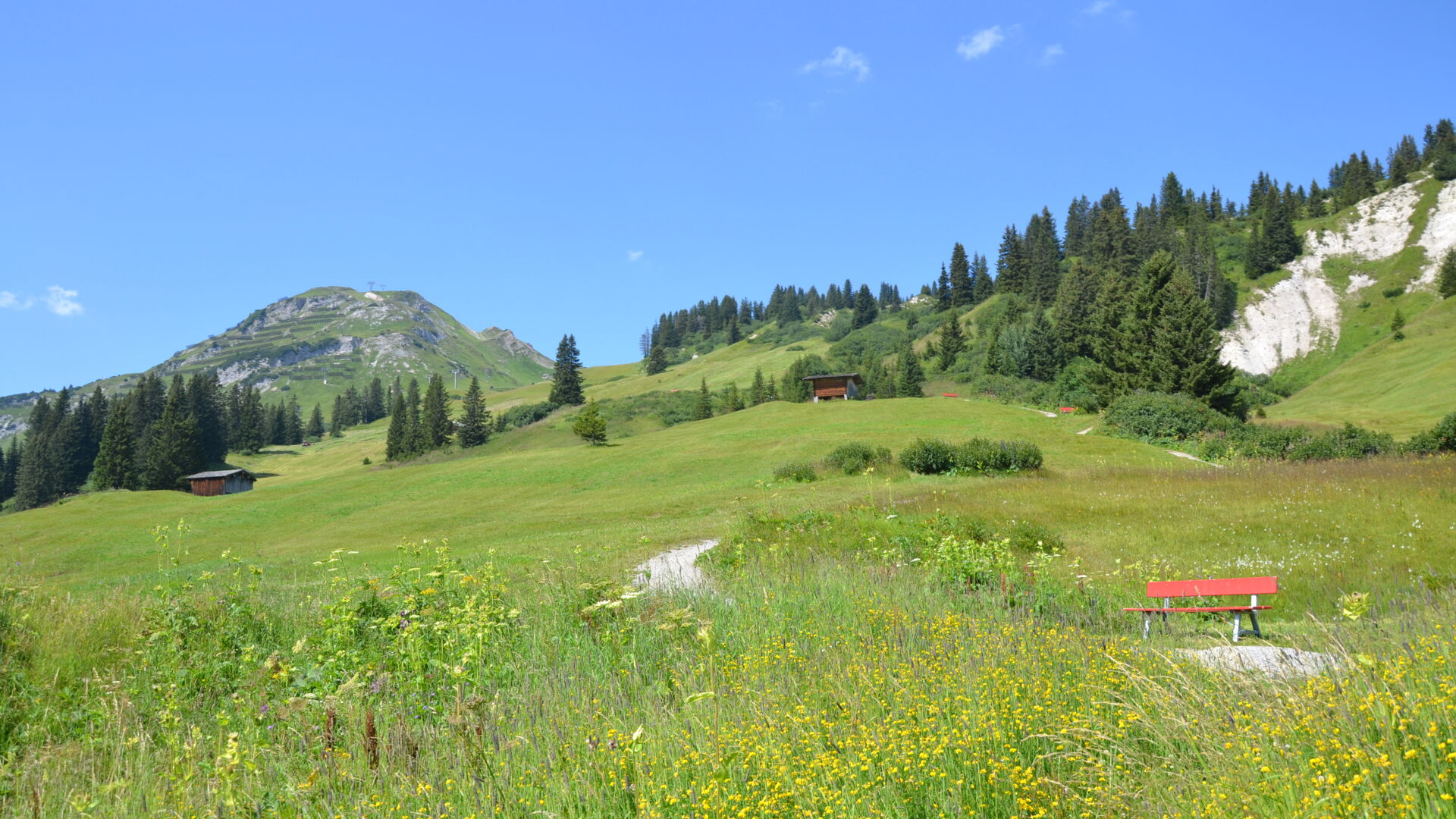 Blick Ã¼ber die Blumenwiesen von Oberlech