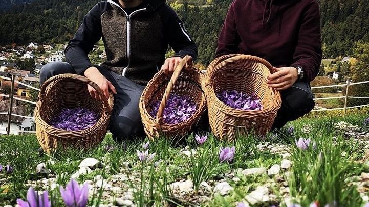 Lecher_Safran_LZTG_by_Laurin_Jochum_4