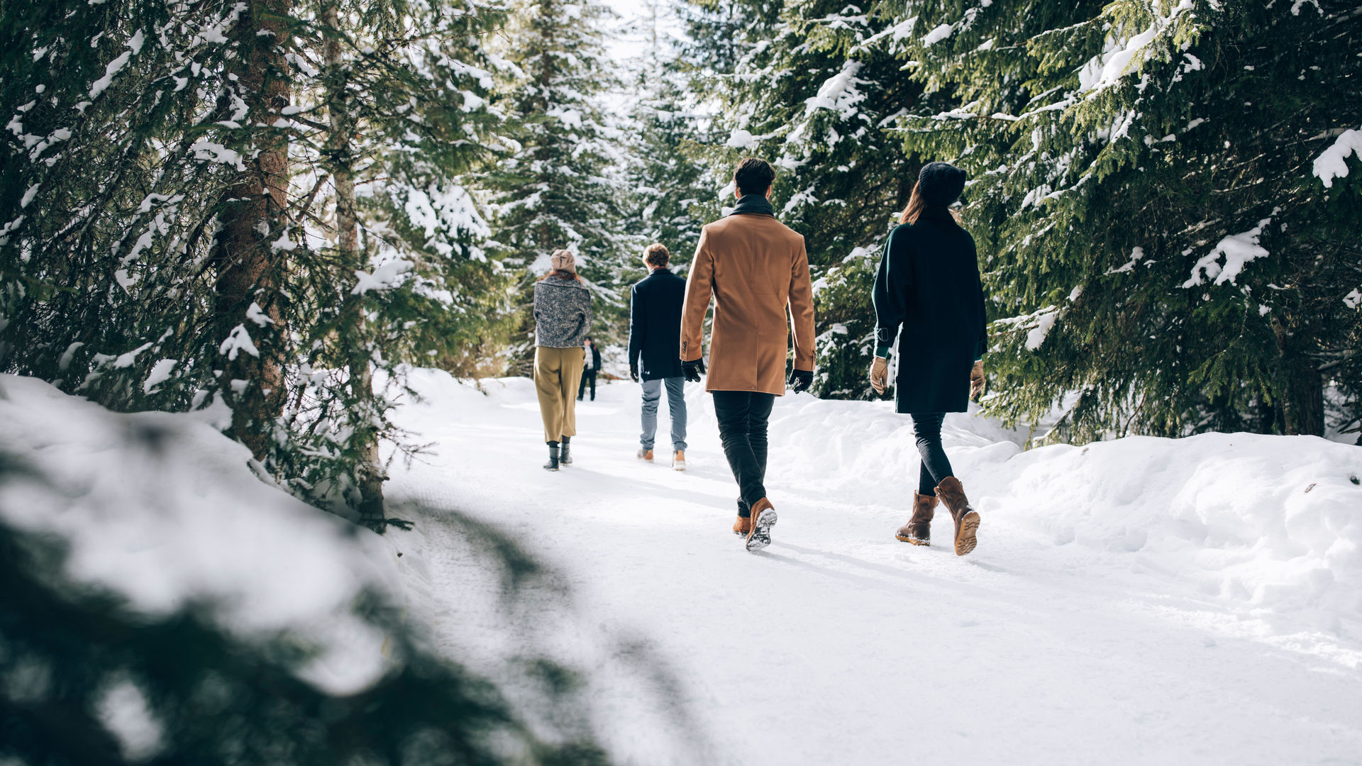vier Freunde spazieren gemeinsam auf dem Winterwanderweg durch den Nadelwald