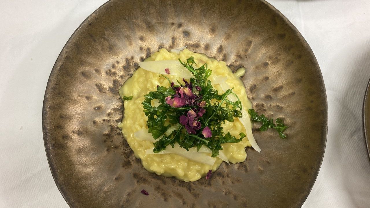 Lecher_Safran_LZTG_by_Laurin_Jochum_5