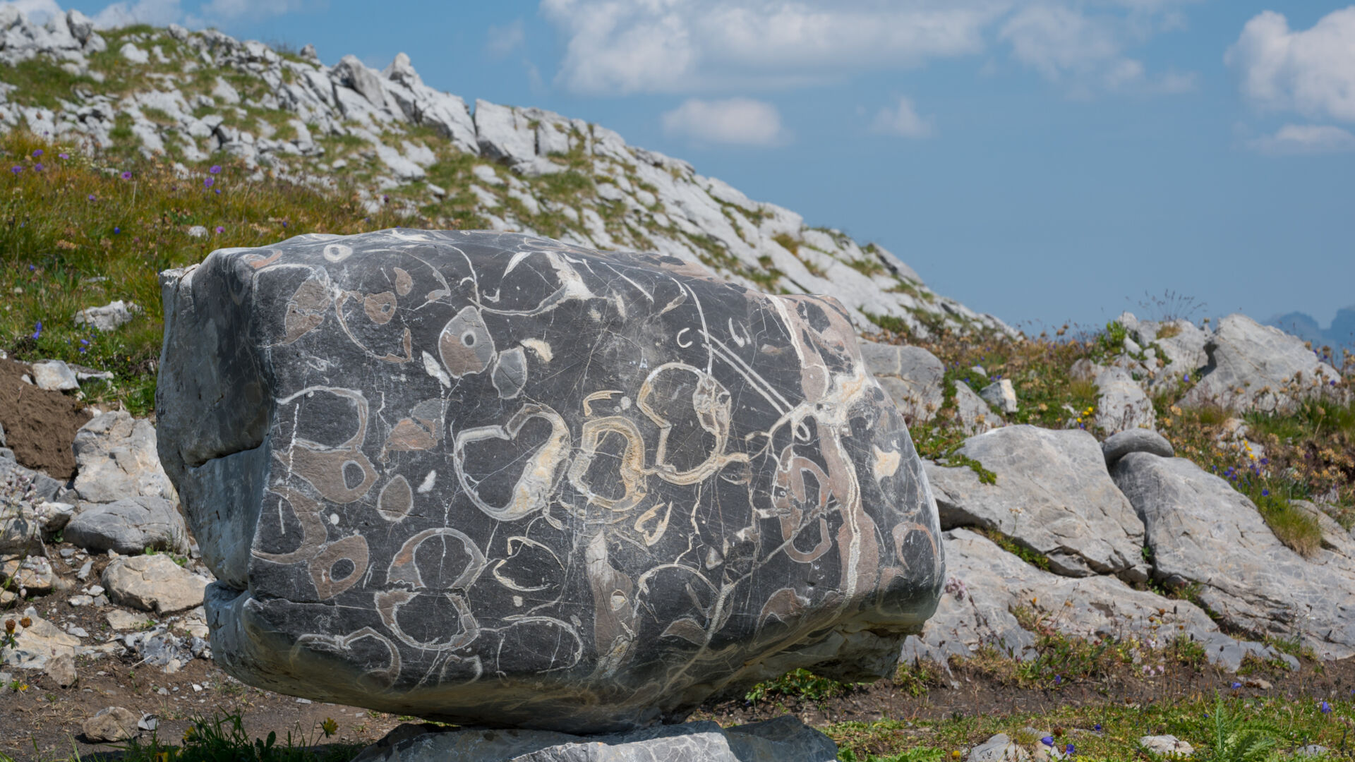 Steinzeitweg_LZTG_by_Georg_Schnell (31)