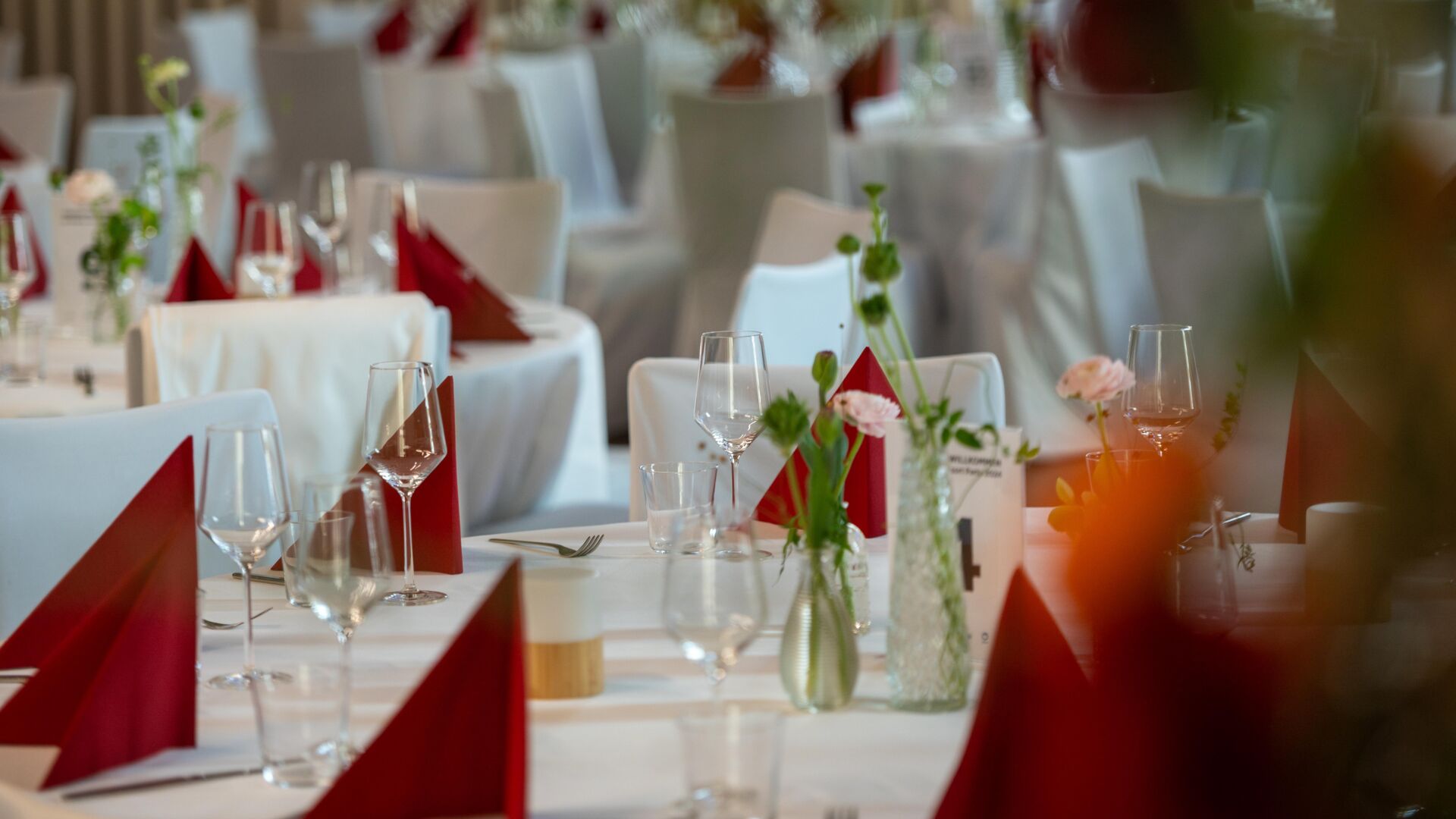 SisterResortParty_2024_LZTG_by_Dietmar_Hurnaus_WEB (63)