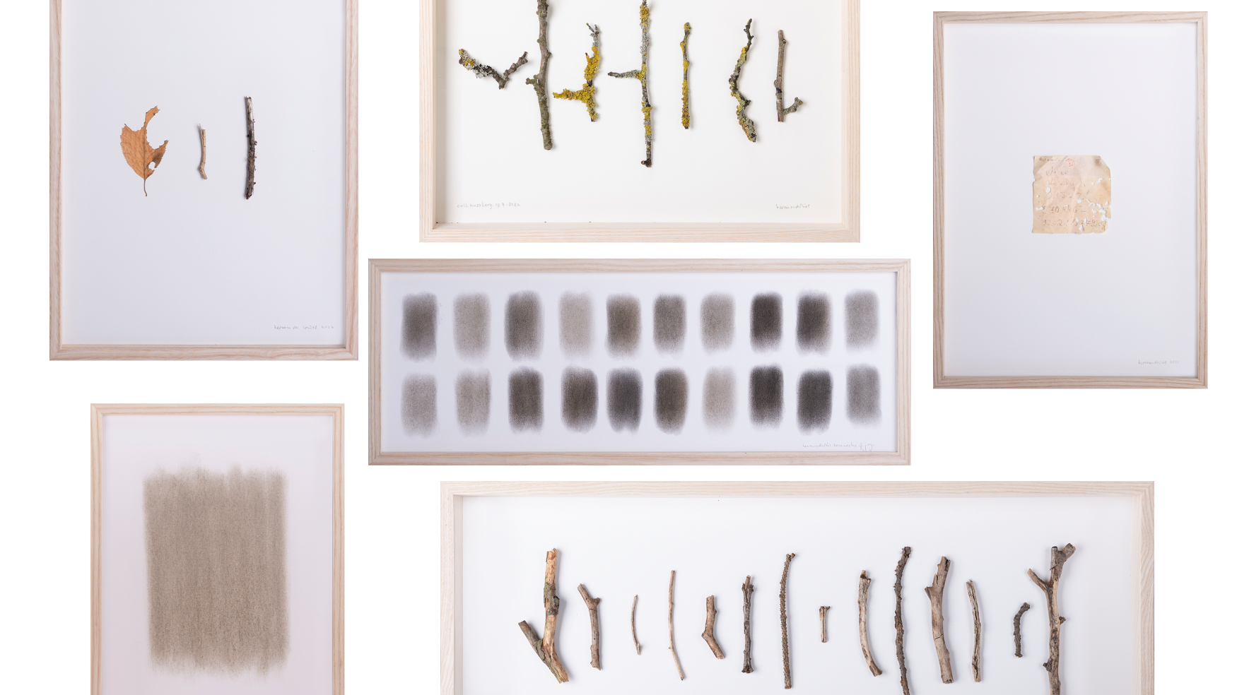 herman de vries, multiple works