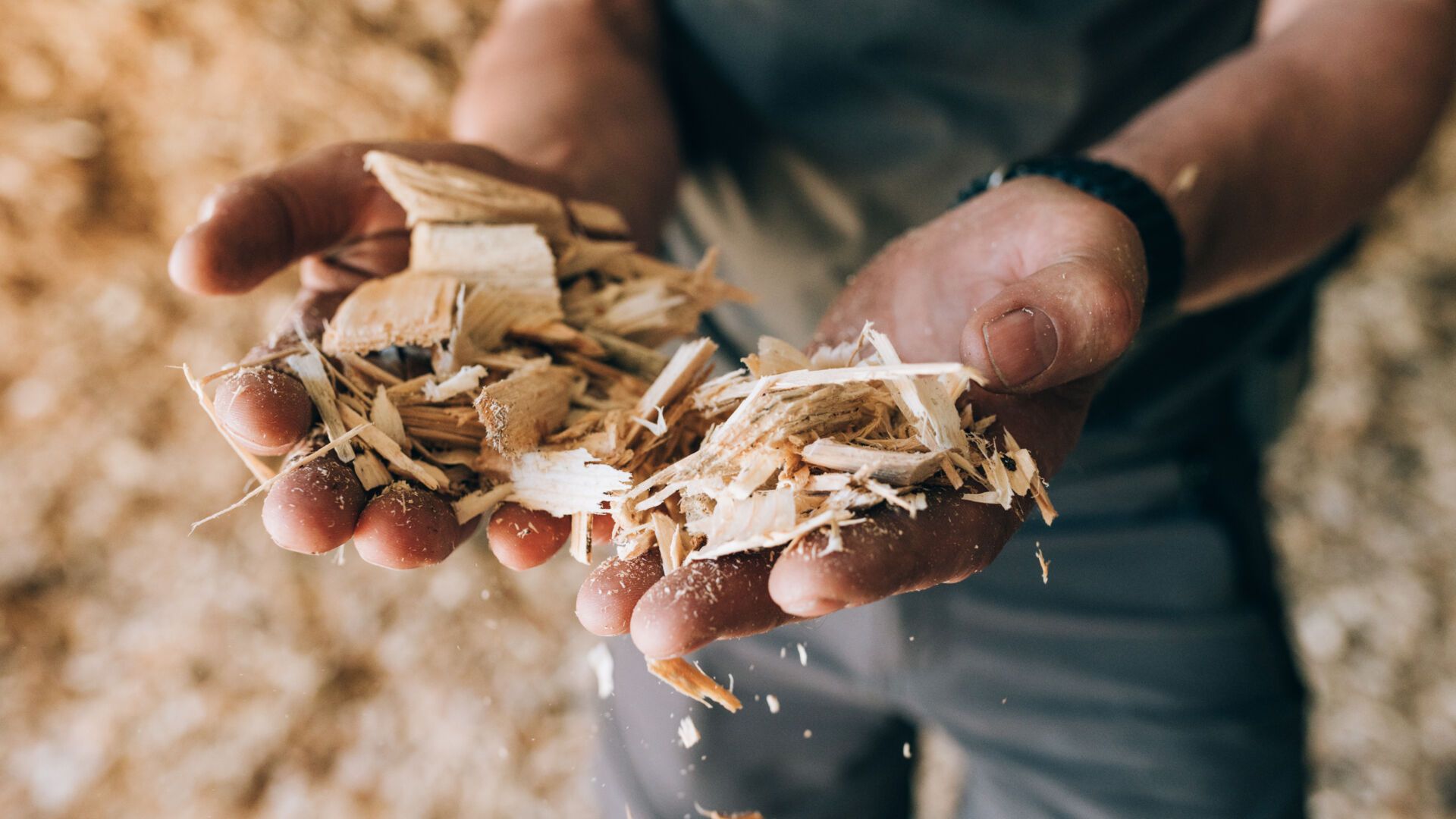 Hände mit Holzschnippsel in der Hand 