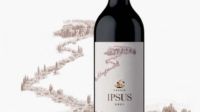 Giovanni Mazzei Ipsus