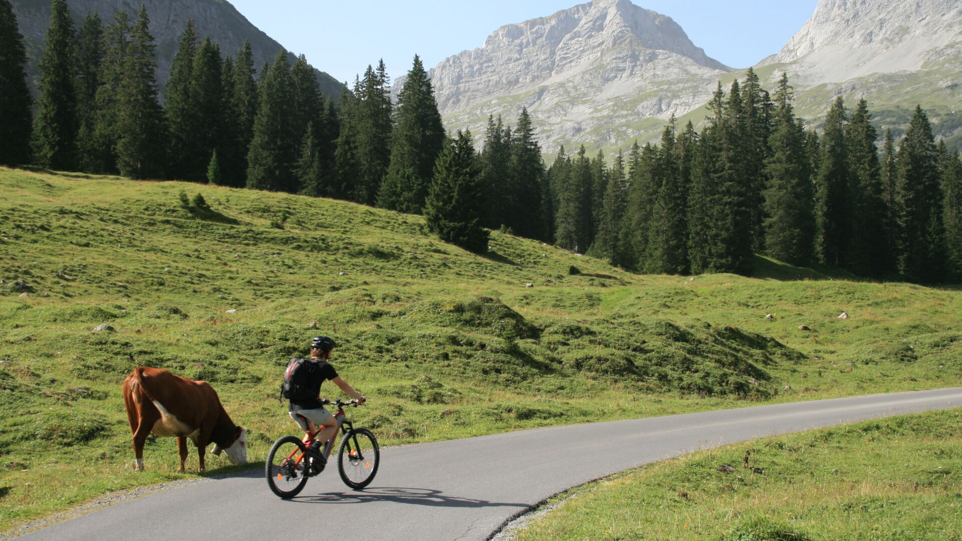 Radfahrer fährt ins Zugertal