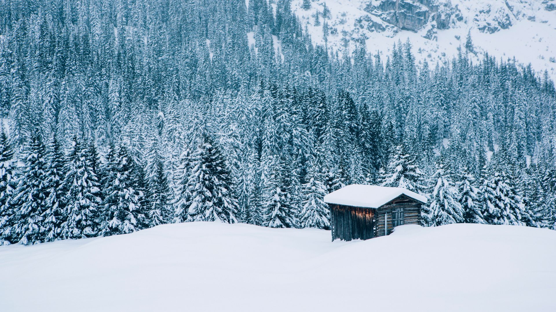 inmitten einer ruhigen Schneelandschaft steht ein kleines Holzhaus