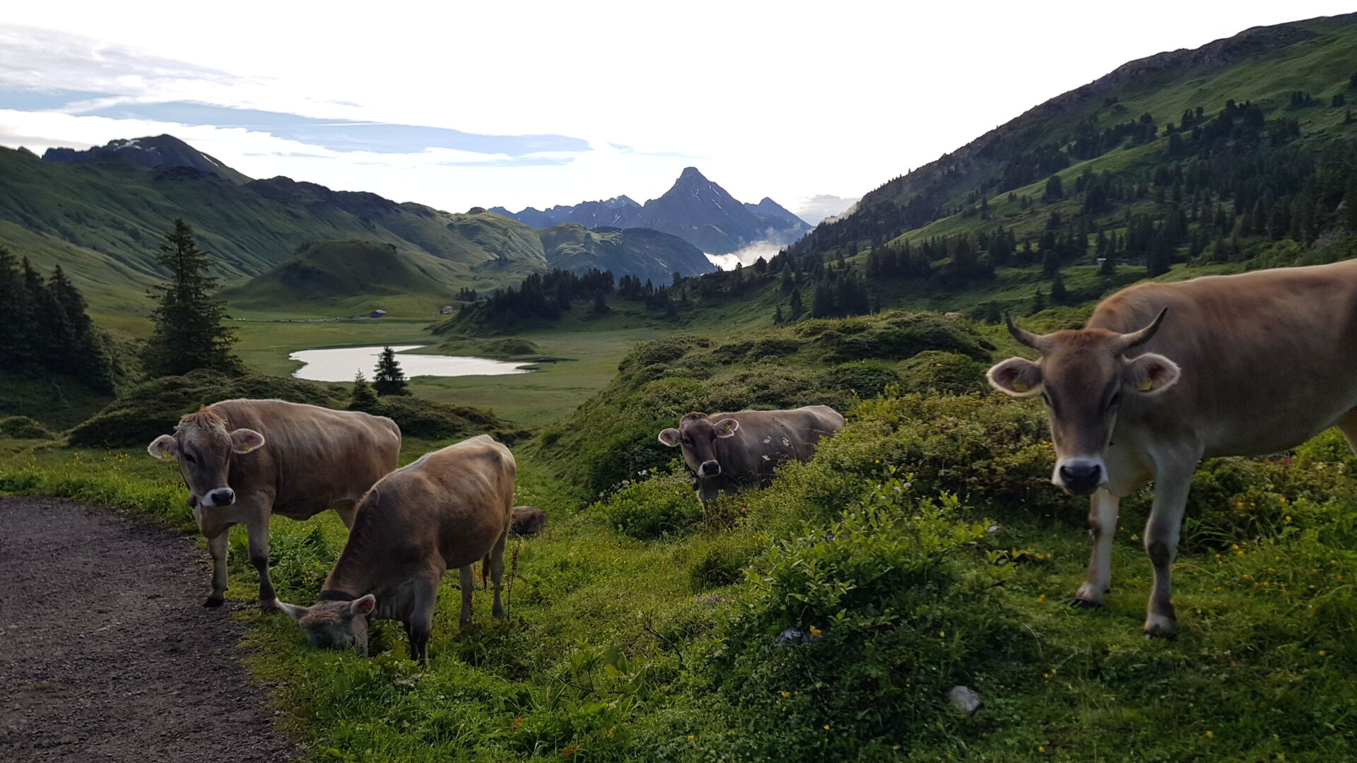 Blick auf den Kalbelesee (c) Lech ZÃ¼rs Tourismus GmbH