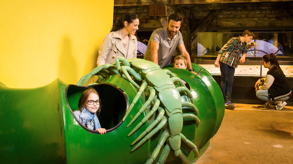 Inatura_Lech_Card_Partner (5)