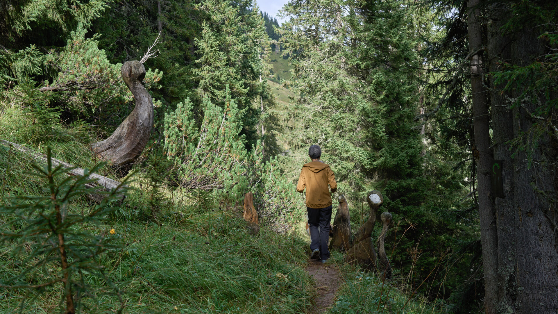 Ein Wanderer geht durch den Sagenwald am grünen Ring