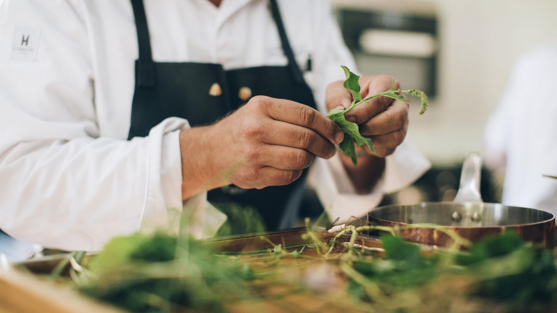 kulinarik lech zuers