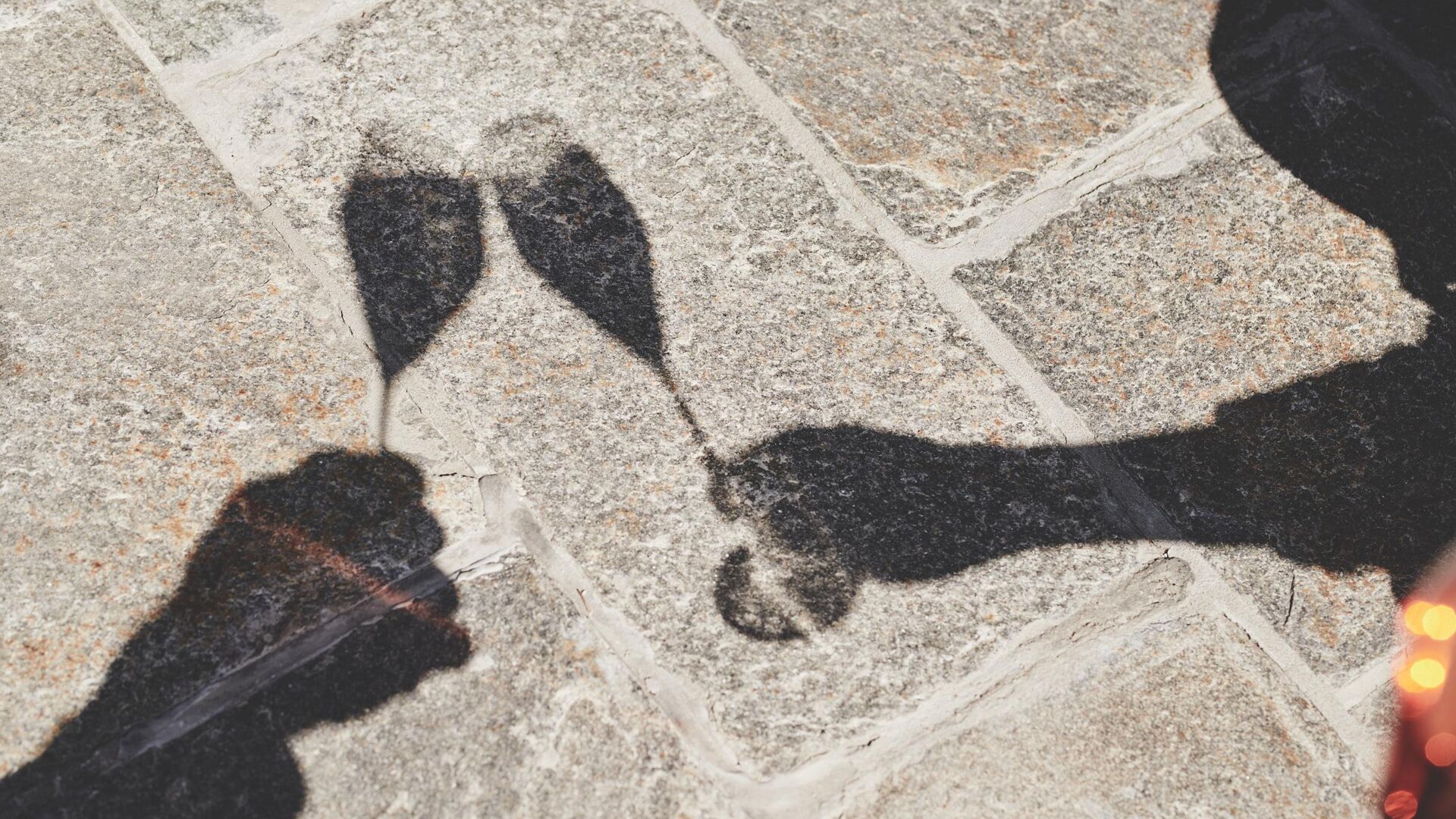 SolidBold_BRG_burg1__MIK6351