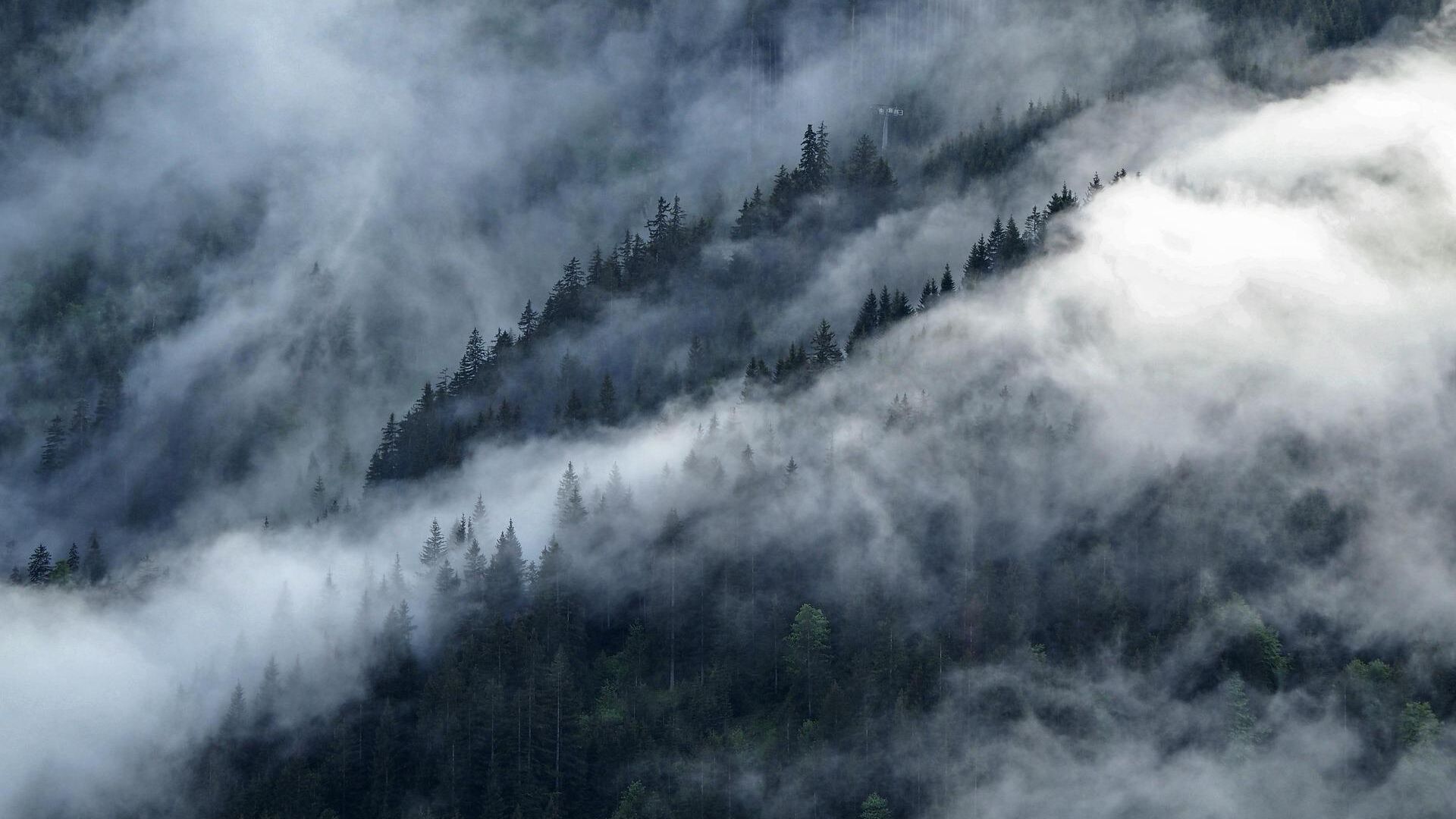 Sonnenburg 2025, Bewerbungsfoto 4