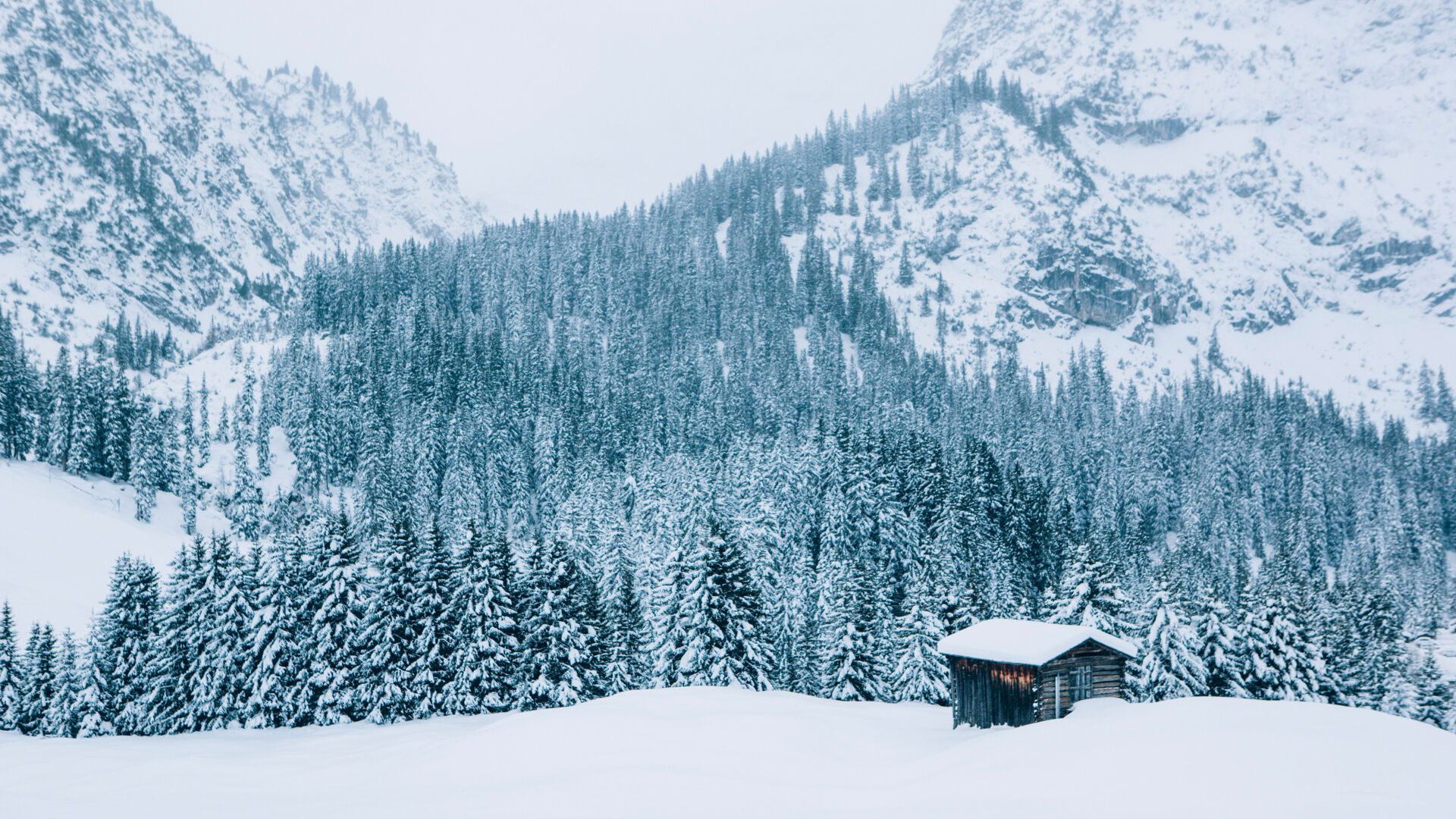 Winterlandschaft in Lech Zürs – beeindruckend und unberührt - landschaft-lech-zuers-vorarlberg