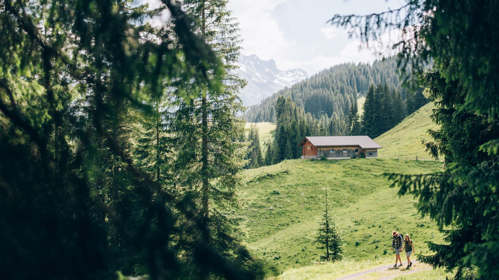 Bodenalpe - Lech Zürs
