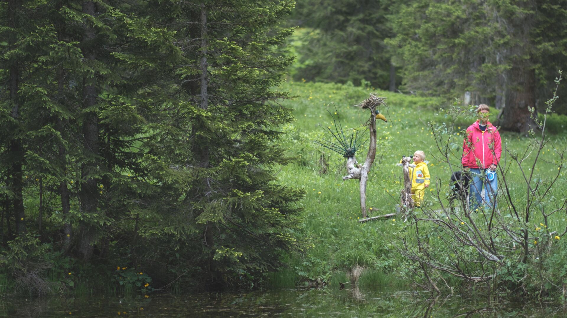 Zwei Personen wandern durch den Wald am Steig des Grünen Rätselrings 