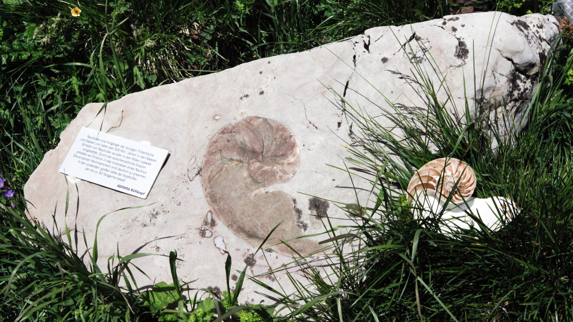 Der Geoweg am Rüfikopf in Lech am Arlberg