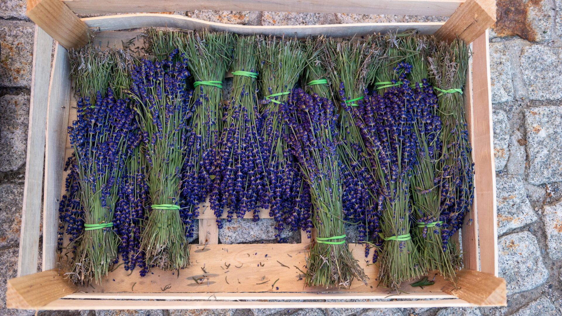 Kiste mit gebündeltem Lavendel auf einem gepflasterten Boden.