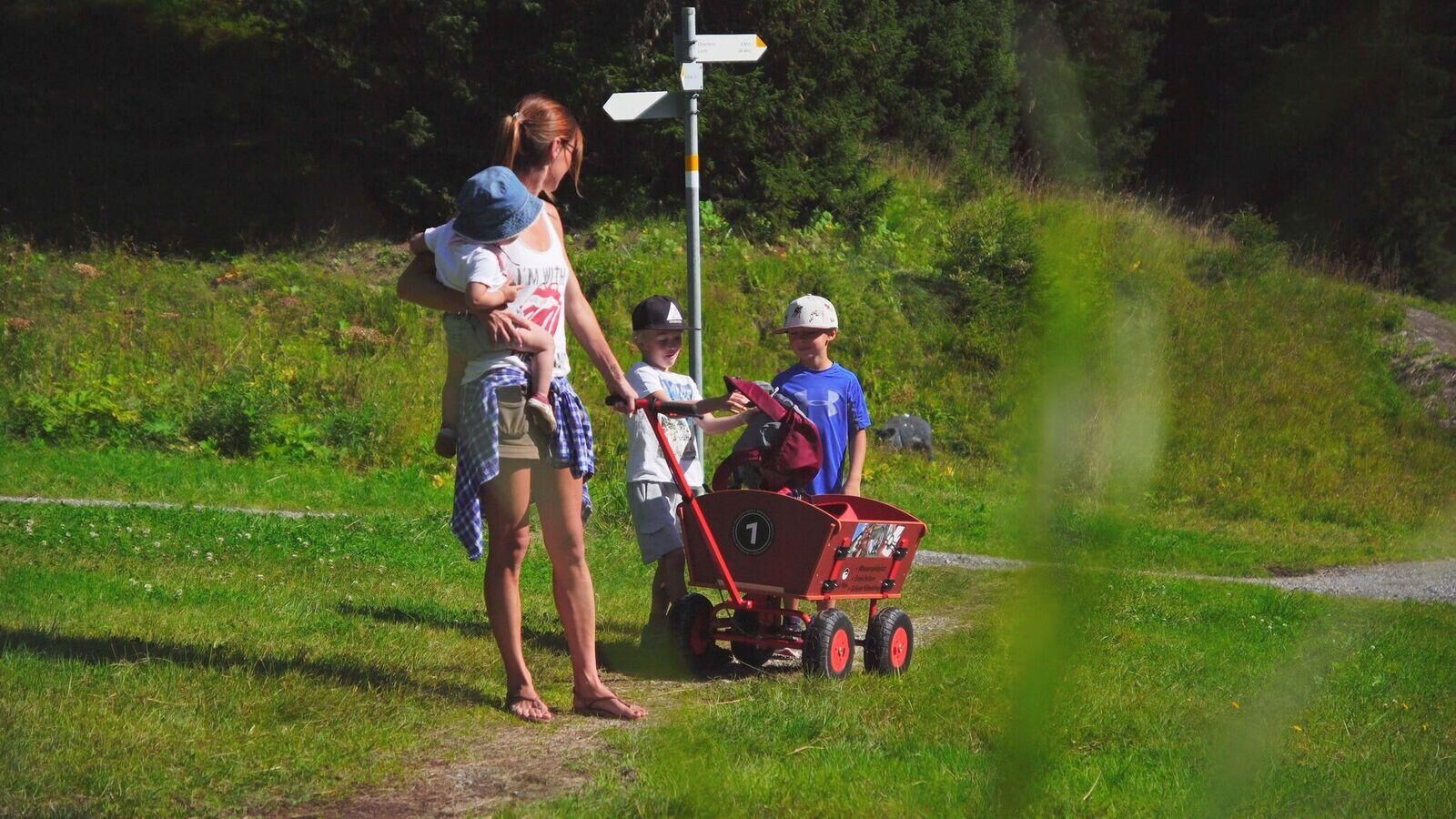 Bollerwagen Bergbahn Lech - Rud-Alpe