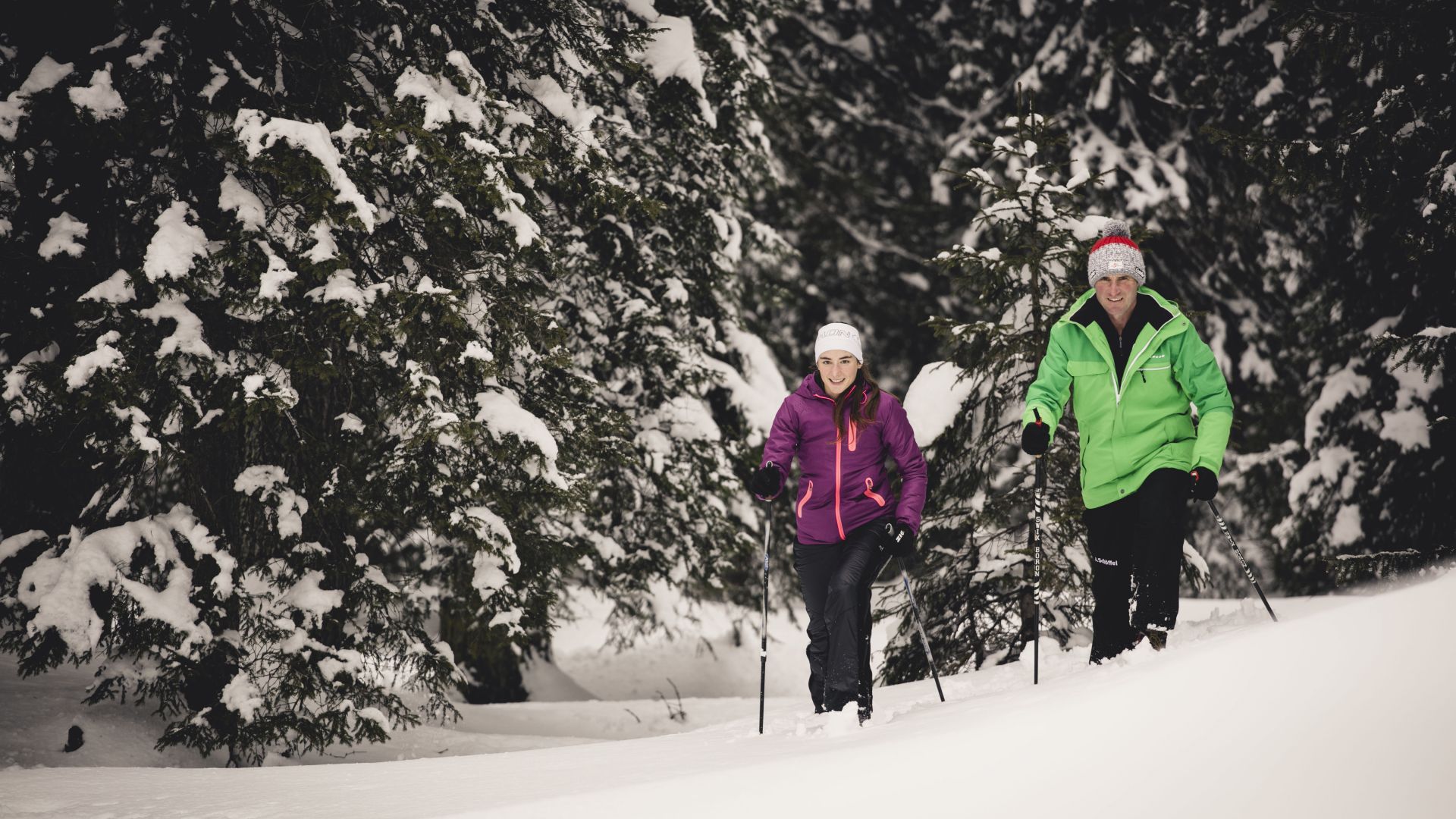 zwei Personen wandern durch die Schneelandschaft, im Hintergrund sieht man die verschneiten Nadelbäume