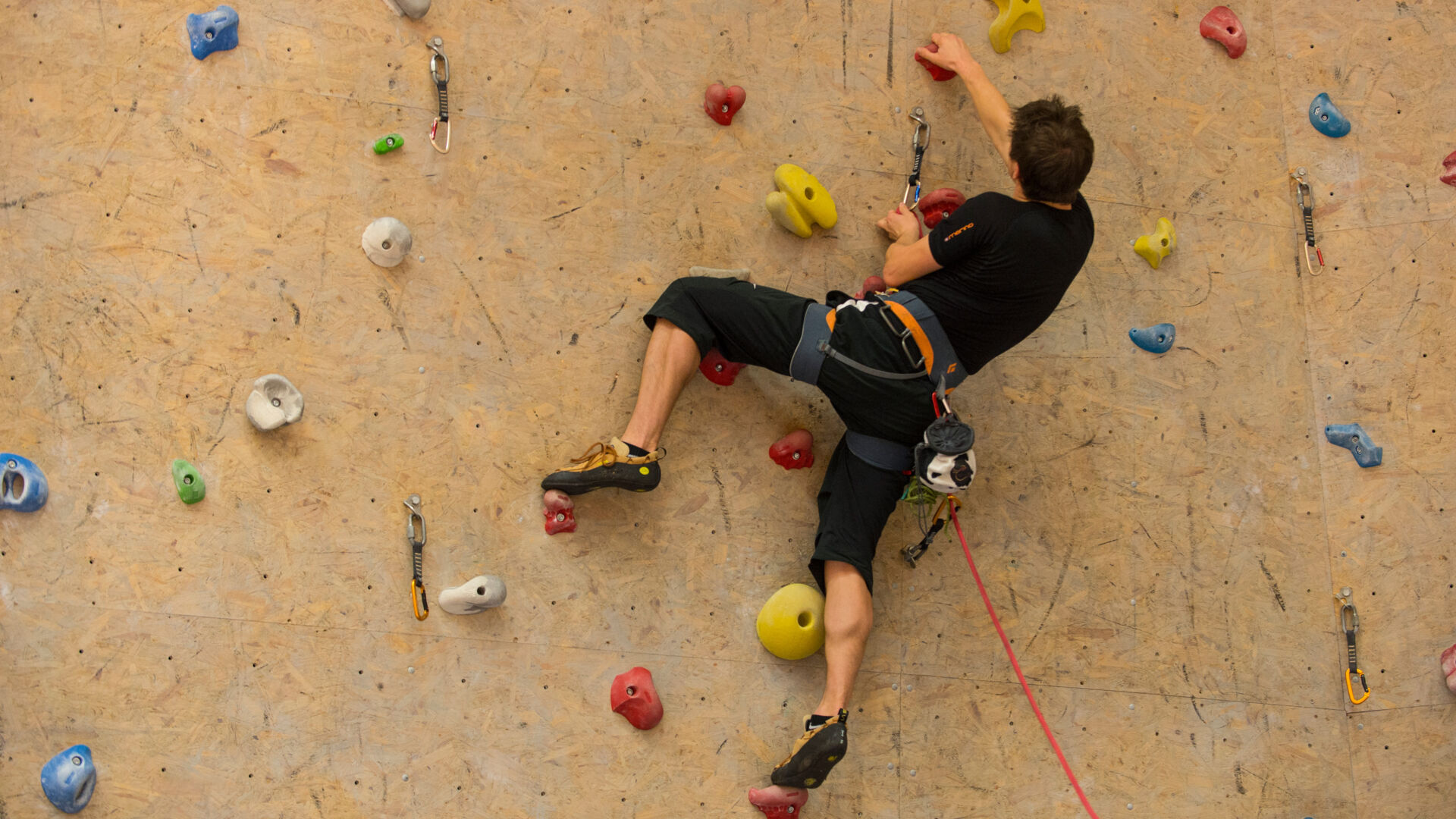 sport_park_lech_2015_LZTG_by_Lisa_Fail (62)