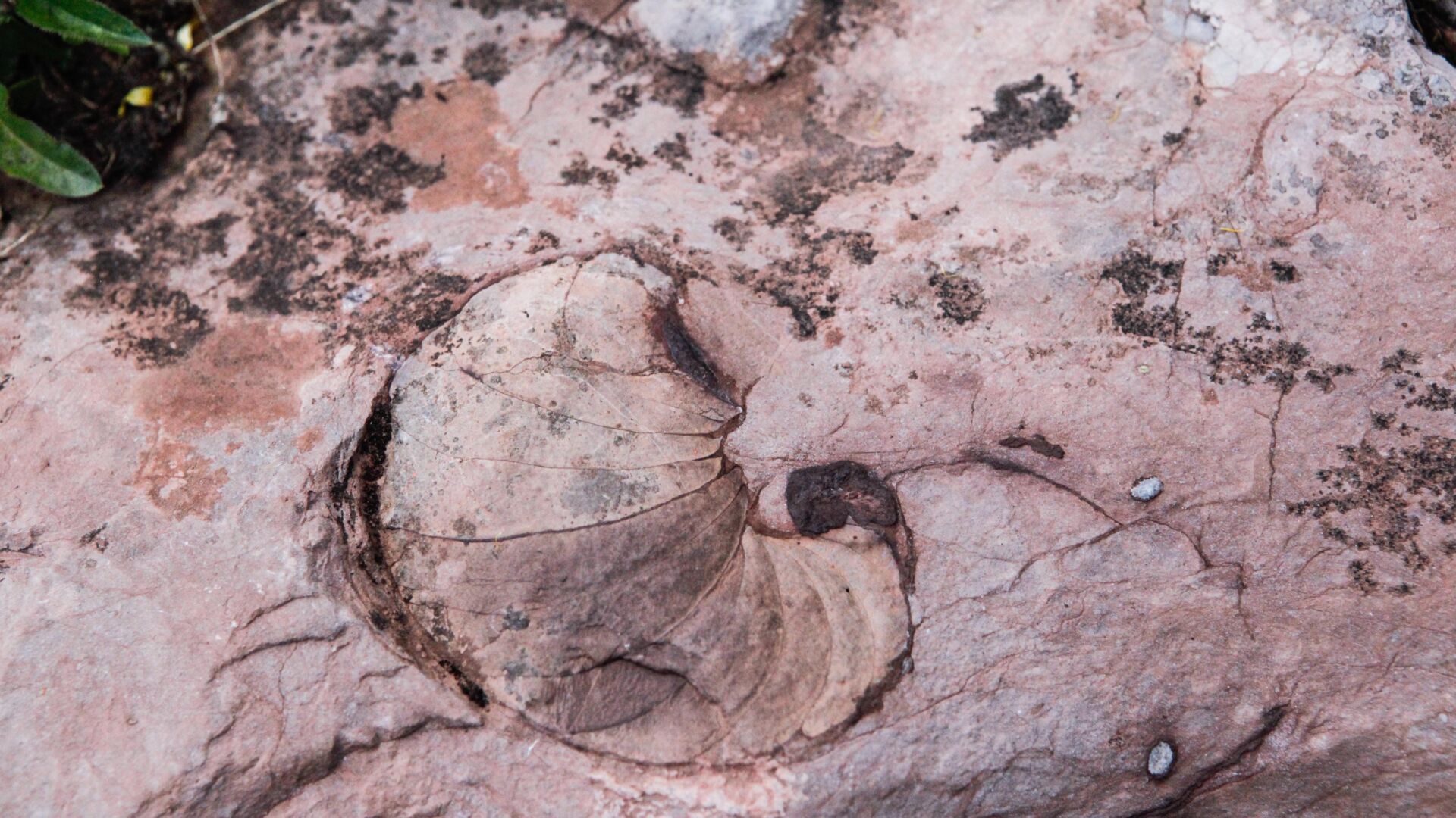 Der Geoweg am Rüfikopf in Lech am Arlberg