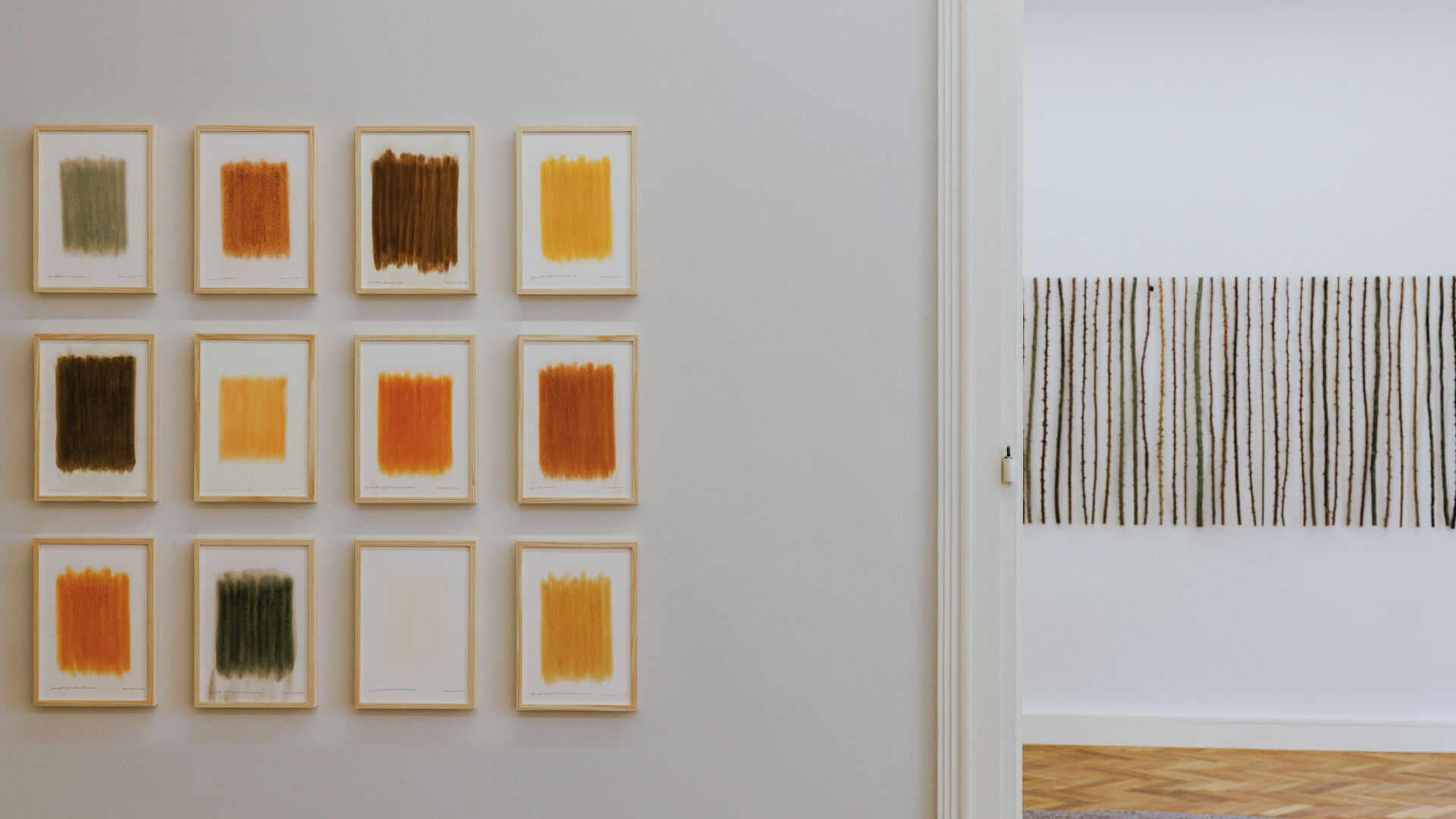 herman_de-vries photo by Helmut Spudich