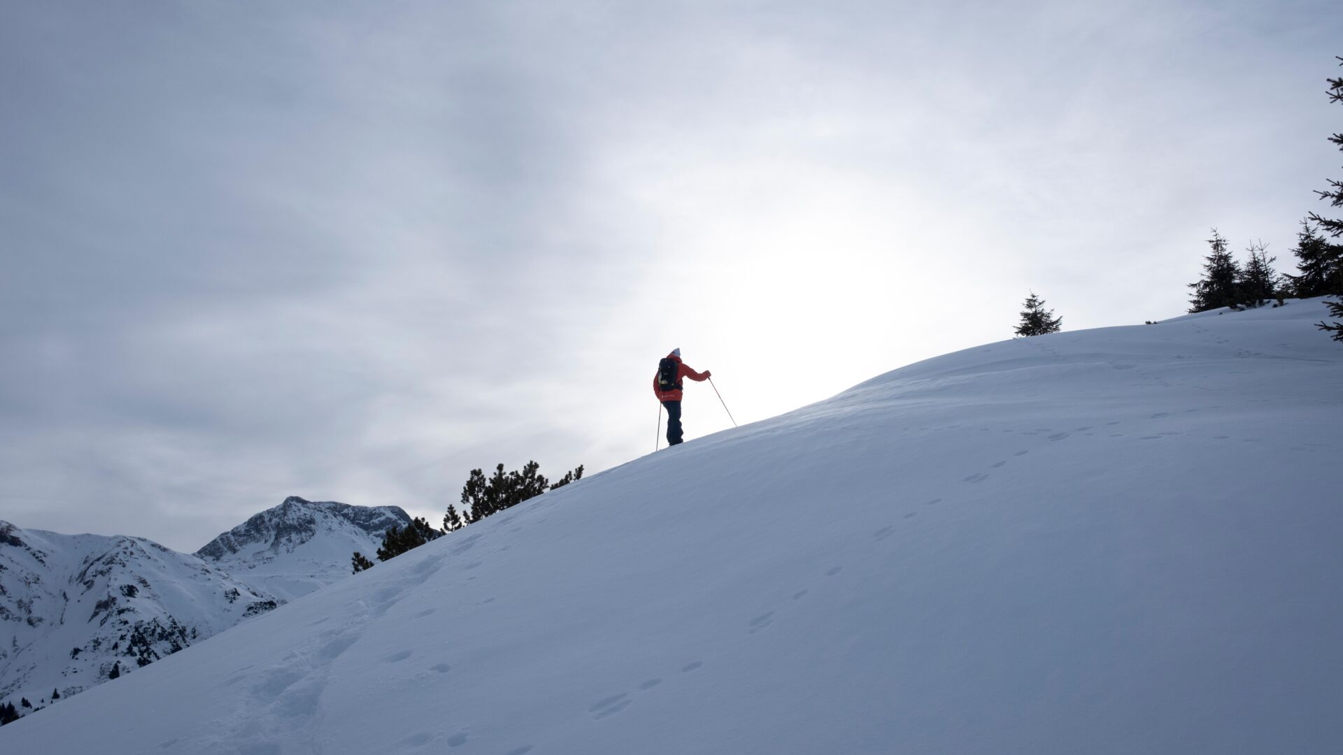 Winter_2025_LZTG_by_Vincent Croce_WEB (10)