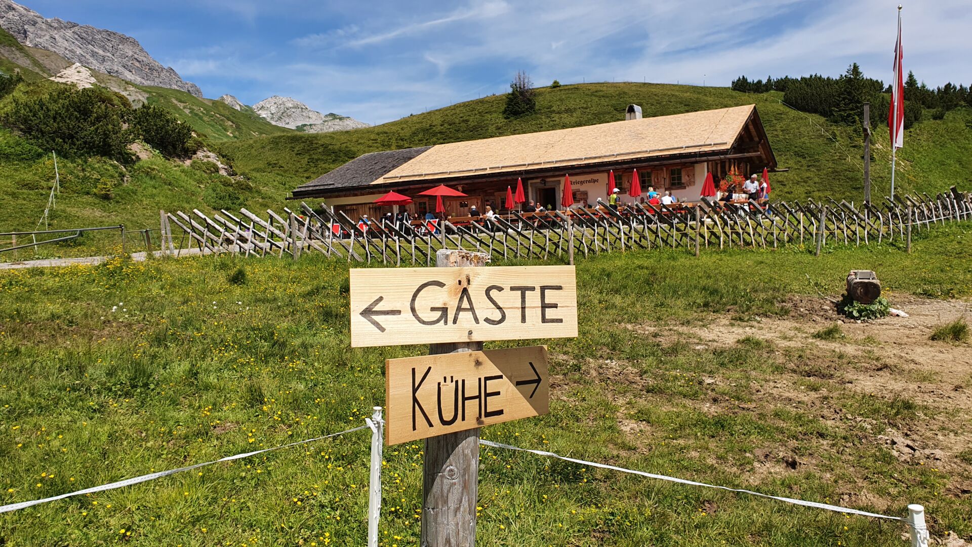 Kriegeralpe_Juli2020_LZTG_by_Markus_Hahn (6)