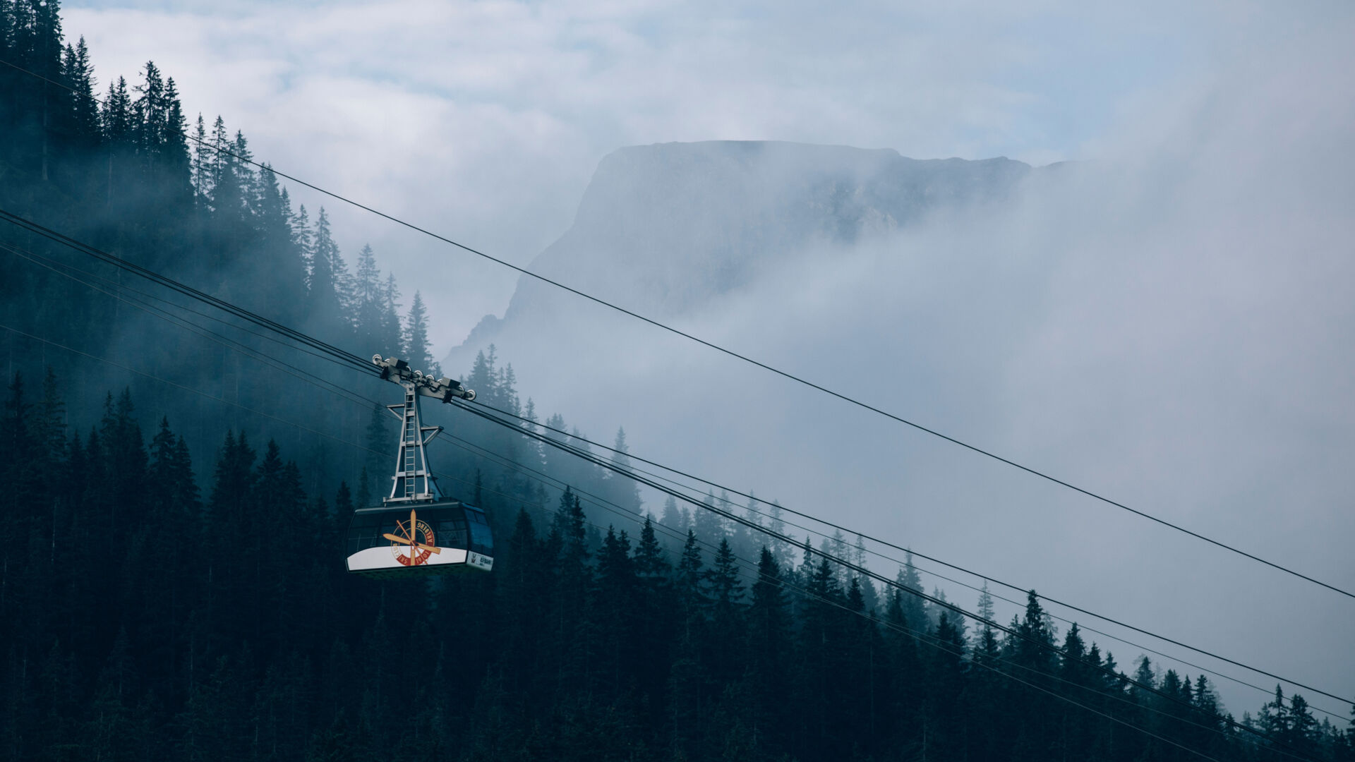 The summer cable cars are introducing themselves