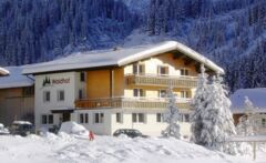 der Waldhof im Winter