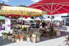 Tannbergmarkt