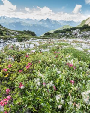 Das Steinerne Meer
