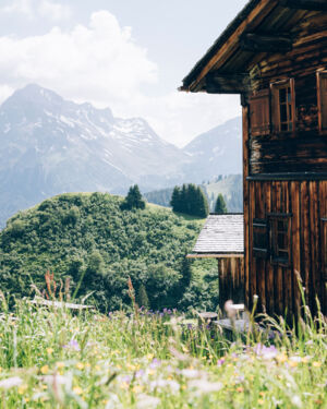 zwei Wanderer laufen durch die bl&uuml;hende Bergwiese an einem urigen Holzhaus in B&uuml;rstegg vorbei, mit einem traumhaften Bergpanorama im Hintergrund