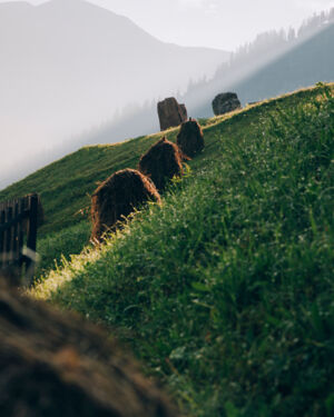 Landschaft_LZTG_by_Daniel_Zangerl_WEB_ (2)
