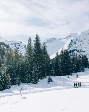 Blick auf den Winterwanderweg, der neben den verschneiten Nadelb&auml;umen und den winterlichen Bergkulissen entlang geht
