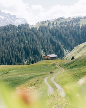 Blick auf den Wanderweg nach B&uuml;rstegg, im Hintergrund sieht man das Omeshorn zwischen dem traumhaften Bergpanorama