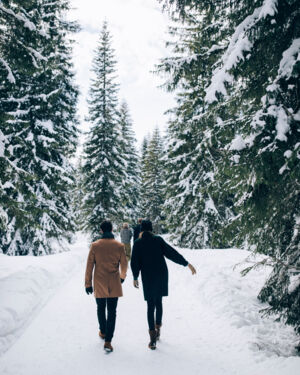 mehrere Personen laufen zwischen den schneebedeckten Nadelb&auml;umen &uuml;ber den Winterwanderweg