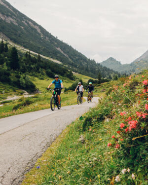 Drei Radfahrer links im Bild auf asphaltierter Straße im Vordergrund Blumen sichtbar