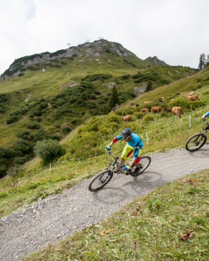 Zwei Radfahrer fahren einen Schotterweg im Gebirge hinab. Im Hintergrund erstrecken sich die weitläufigen Berge.