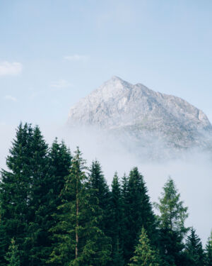 Landschaft_LZTG_by_Daniel_Zangerl_WEB_ (17)