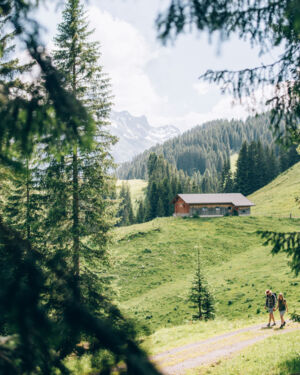 Blick auf einen Wanderweg in Oberlech, im Hintergrund ist eine H&uuml;tte und die Berglandschaft zu sehen