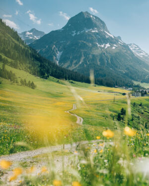 Blumenwiese im Frühling mit dem Dorf Lech und dem Omeshorn im Hintergrund