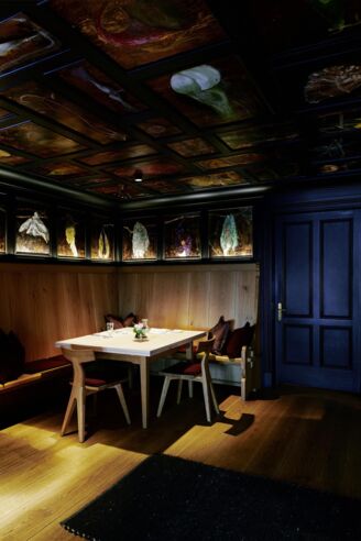 almhof-schneider_wunderkammer_(c)_Christian Kain almhof-schneider_wunderkammer_(c)_Christian Kain