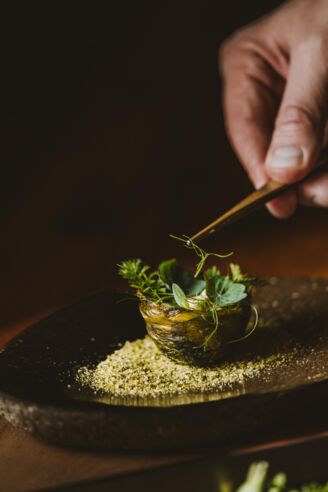 Post Lech Kulinarik Kalb chicoree