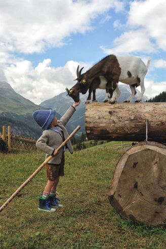 Streichelzoo Rud-Alpe