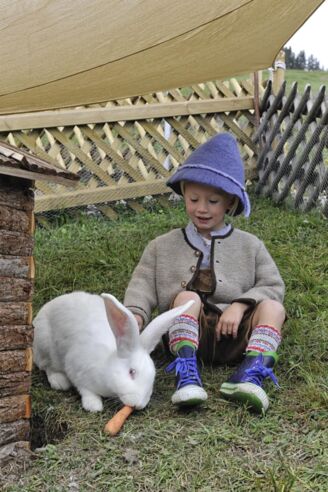 Streichelzoo auf der Rud-Alpe Streichelzoo auf der Rud-Alpe