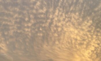 Element Licht – Gezeitenwanderung & Meditation