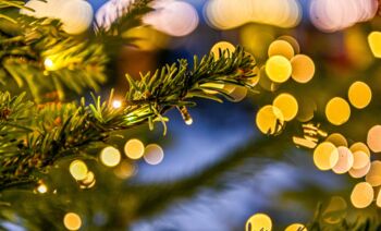 Wonderful Peace - Weihnachtskonzert