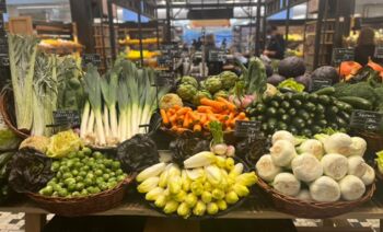 Vortrag – Der Darm, Schlüssel zur Gesundheit